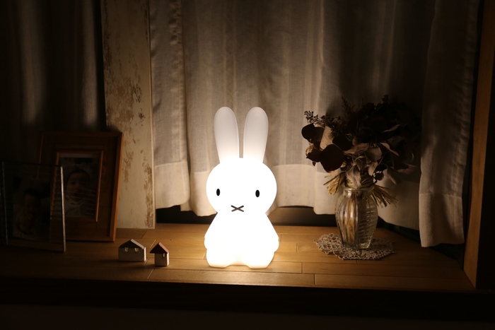 MIFFY FIRST LIGHT NIGHTイメージ5