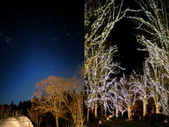 星空＆イルミネーション