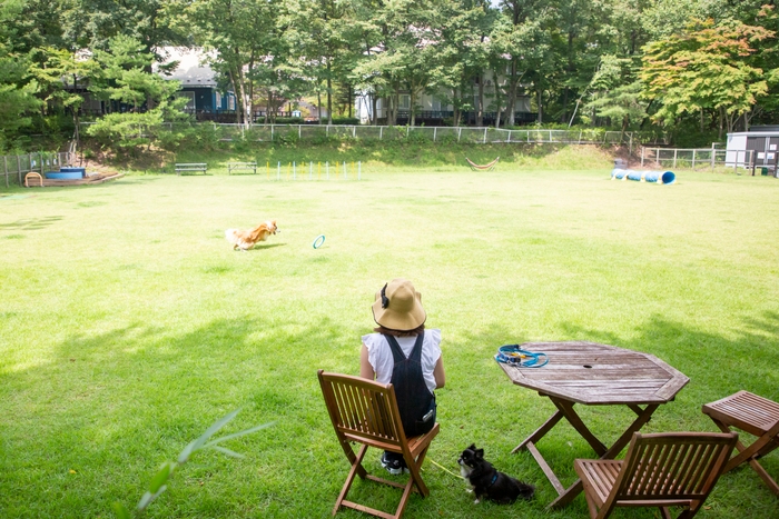 フォレストヒルズ那須 天然芝ドッグラン