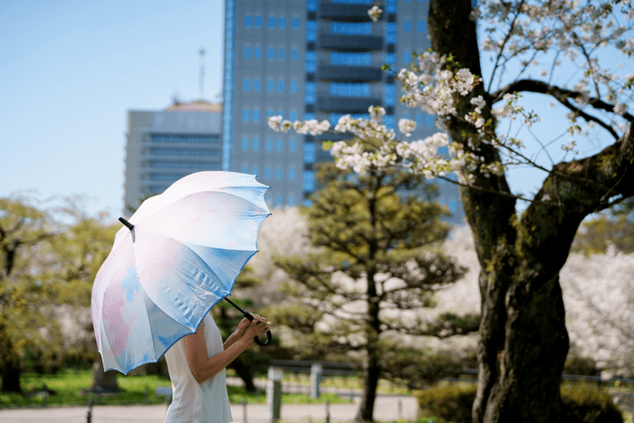 『da mon de』使用イメージ写真