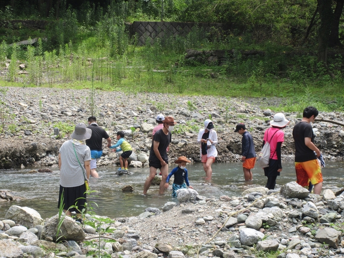 魚のつかみどり体験　イメージ