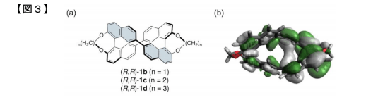 （a）様々な長さのアルキル鎖で固定した不可能図形分子（b）励起状態における分子軌道（理論計算）。分子全体に大きく広がっている様子がわかる。