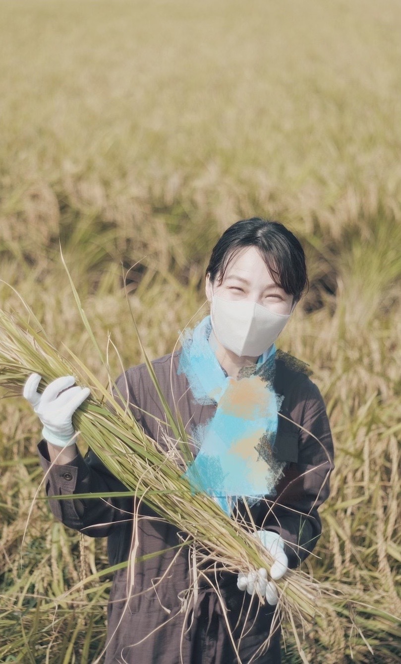 酒米の稲刈りをするプロジェクト代表