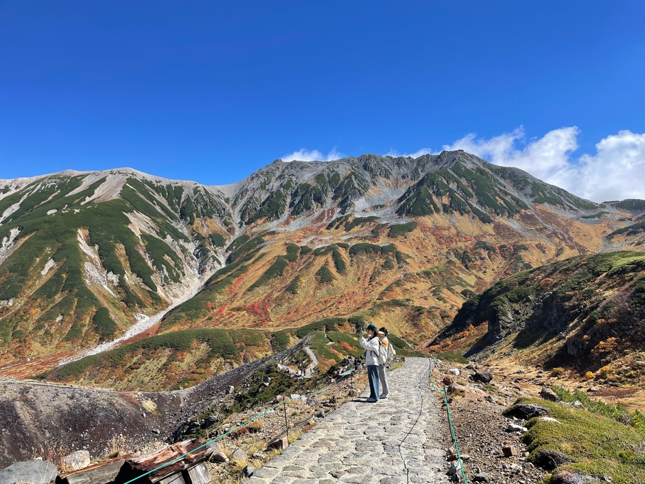 室堂平の紅葉(2025年9月)