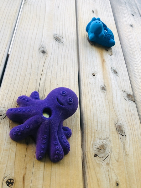 ▲どんな生き物のホールドが見つかるかな！？