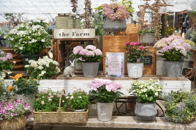 母の日ギフトフラワー(the Farm UNIVERSAL／大阪府茨木市)