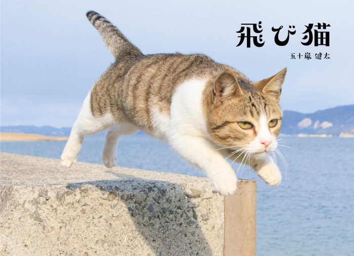 飛び猫