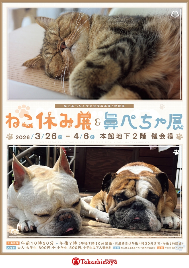 ねこ休み展＆鼻ぺちゃ展 キービジュアル(縦)