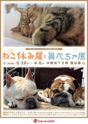 ねこ休み展＆鼻ぺちゃ展 キービジュアル(縦)