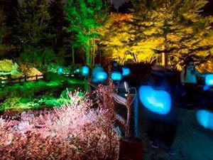 ≪Glow with night Garden Project in Rokko 提灯行列ランドスケープ≫2016年 六甲高山植物園