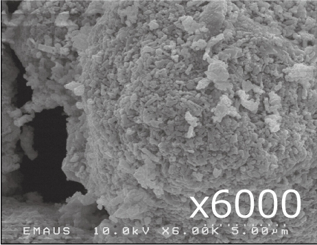 パラオ白泥×6000 ※多孔質構造