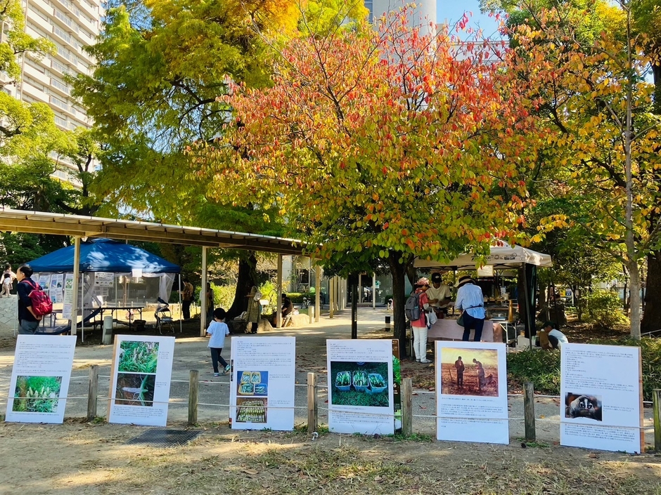 環境保全活動パネル展示