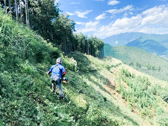 林業は、持続可能な森林を生み出す仕事です
