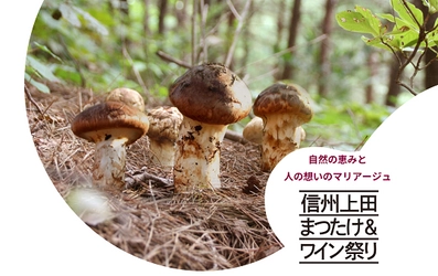 唯一無二のガストロノミーフェス 「信州上田まつたけ＆ワイン祭り2025」と 松茸料理のフルコース＆ペアリングを楽しめるプレミアムなイベント 「第2回ONSEN・ガストロノミーウォーキングin信州上田」を 10/5(日)に開催！