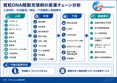 図. 質粒DNA精製充填剤産業チェーン分析