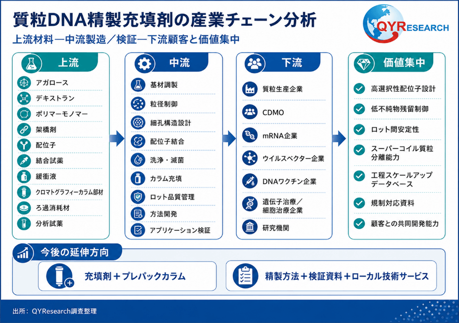 図. 質粒DNA精製充填剤産業チェーン分析