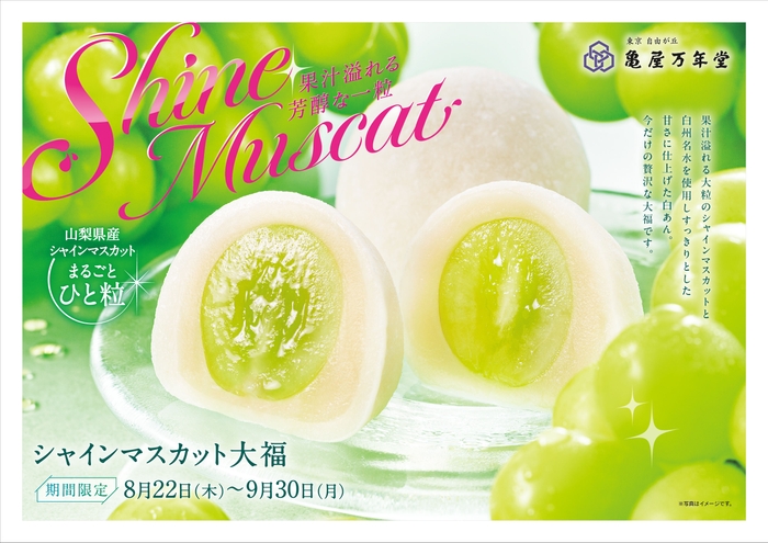 東急線ドア横ポスター