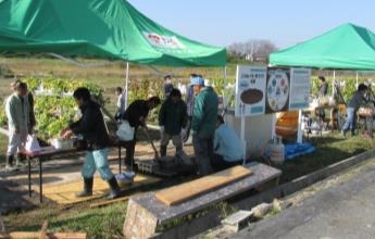 イモが地球を救う 空中栽培によるサツマイモ収穫祭が開催されます Newscast