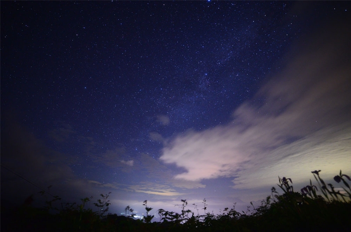 日中、彩とりどりに咲く高山植物たちの夜の姿、漆黒にそびえる雄大な北アルプス。