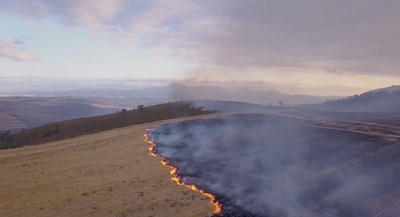 © Anatomy of a Wildfire Pty Ltd 2019 All Rights Reserved. Licensed by ITV Studios Ltd