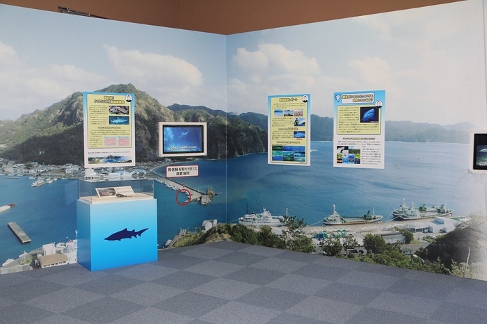 小笠原諸島での研究結果紹介