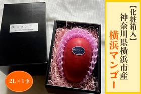 横浜市産の完熟マンゴー「横浜マンゴー」をＪＡタウンで販売中！