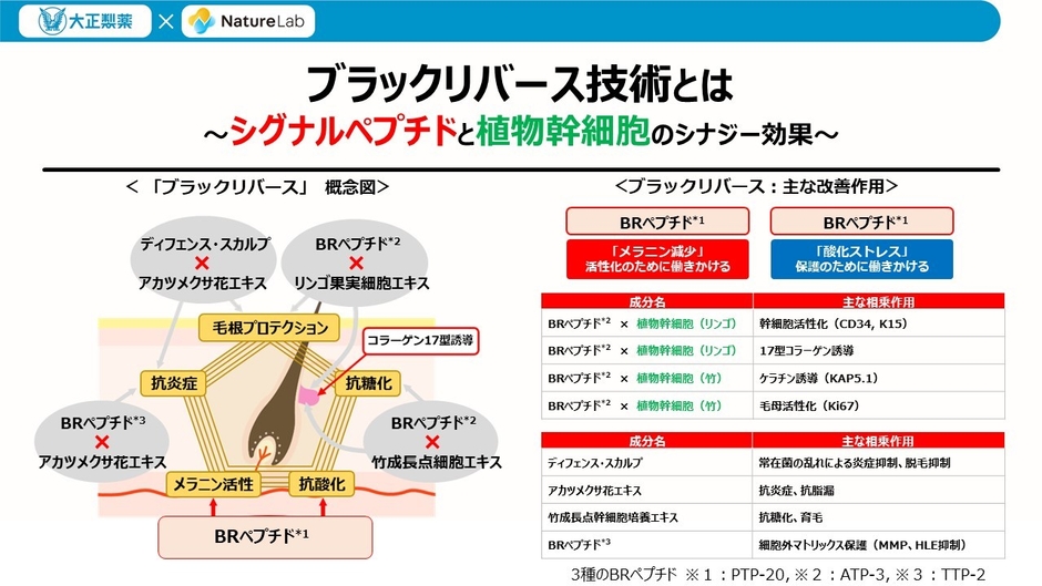 ブラックリバースペプチド1とその作用　講演スライド