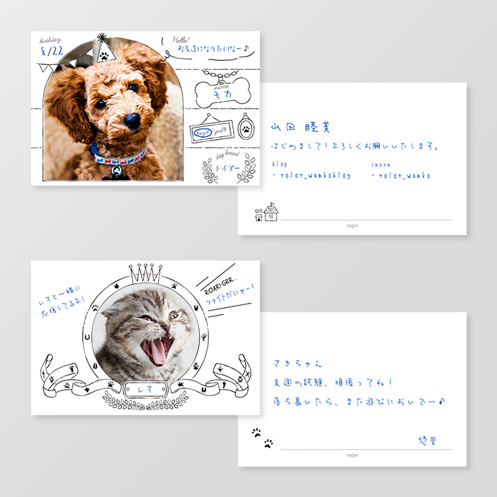 犬猫オーナー集合 30枚セット500円の Tolot Card ポストカードサイズの ペット名刺 テンプレート登場 Newscast