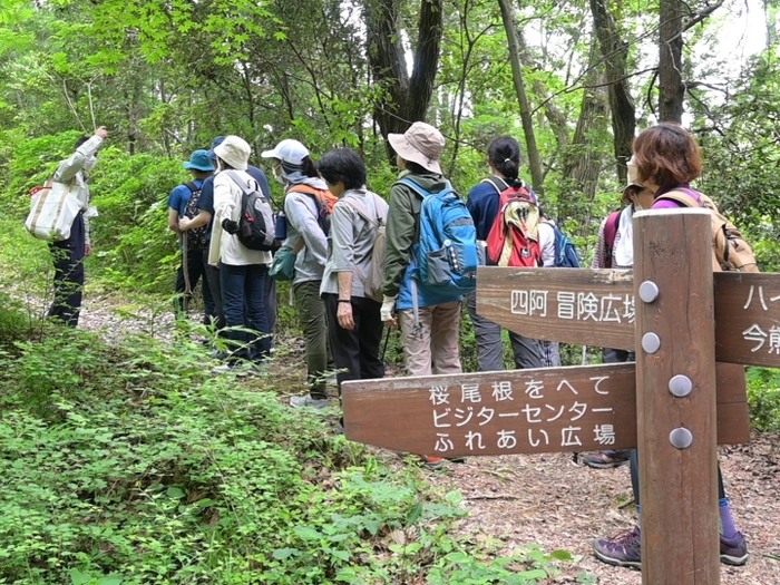 ハイキングとしても歩き応え十分