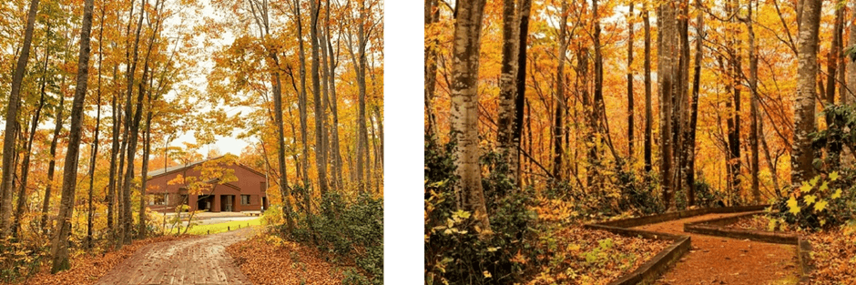 浅草山麓エコ・ミュージアム
