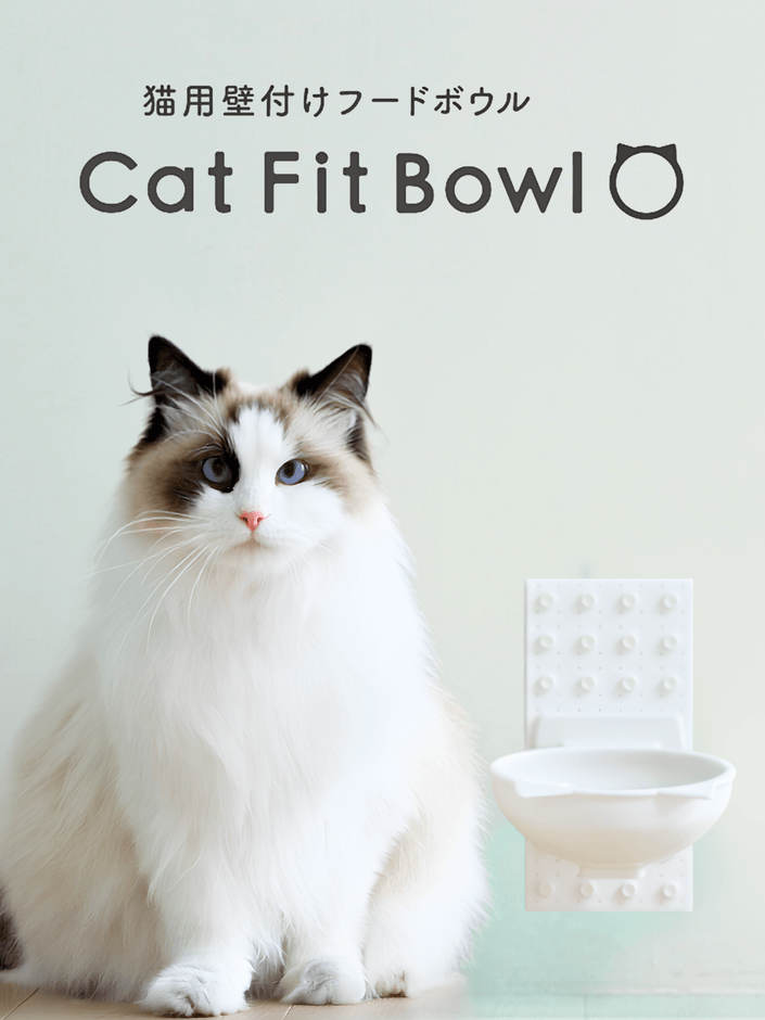 Cat Fit Bowl