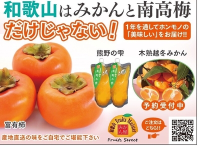 和歌山はみかんだけじゃない!