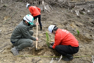 使った分の木を山に還す「苗木を還そうプロジェクト」 宮崎県にスギの再造林費用を寄付