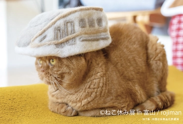 北陸地方は初！癒しの猫作品300点以上「ねこ休み展 in 富山」が 4/17～開催！猫の抜け毛で制作した“北陸新幹線”が初展示