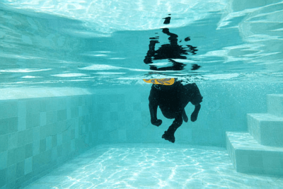 きれいな水質