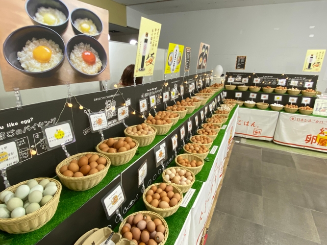 産地直送の産みたてたまごが日替わり！