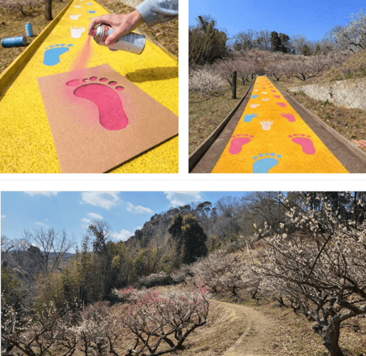 園路に足型を描くイベント「フトプリ」のイメージ（上）・黒谷公園の梅林（下）