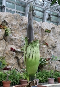 令和7年6月3日撮影