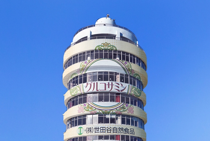 空高くそびえ立つ“グルコタワー”