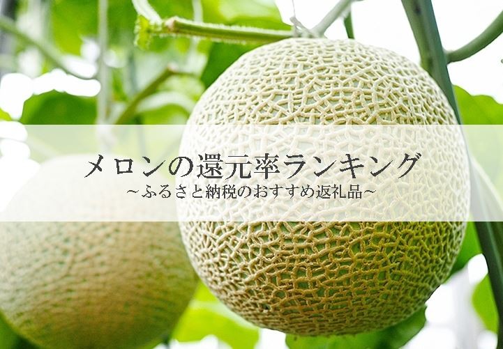 【2025年10月版】ふるさと納税でもらえる『メロン』の還元率ランキングを発表