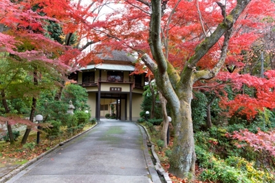 長寿門　紅葉イメージ