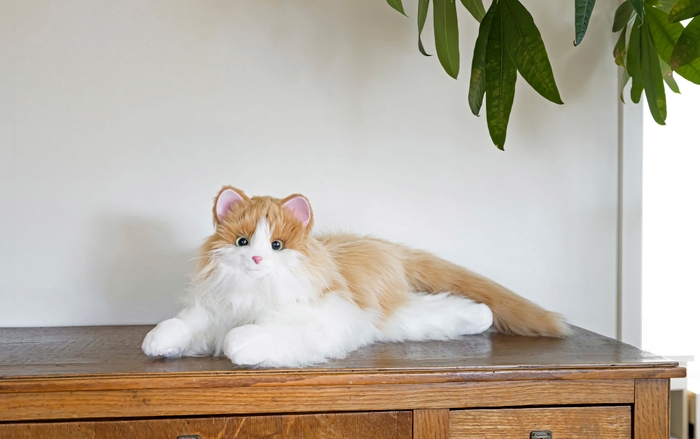 しっぽふりふり あまえんぼうねこちゃん ミックスブラウン_5