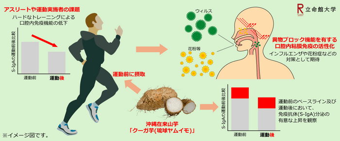 イメージ図