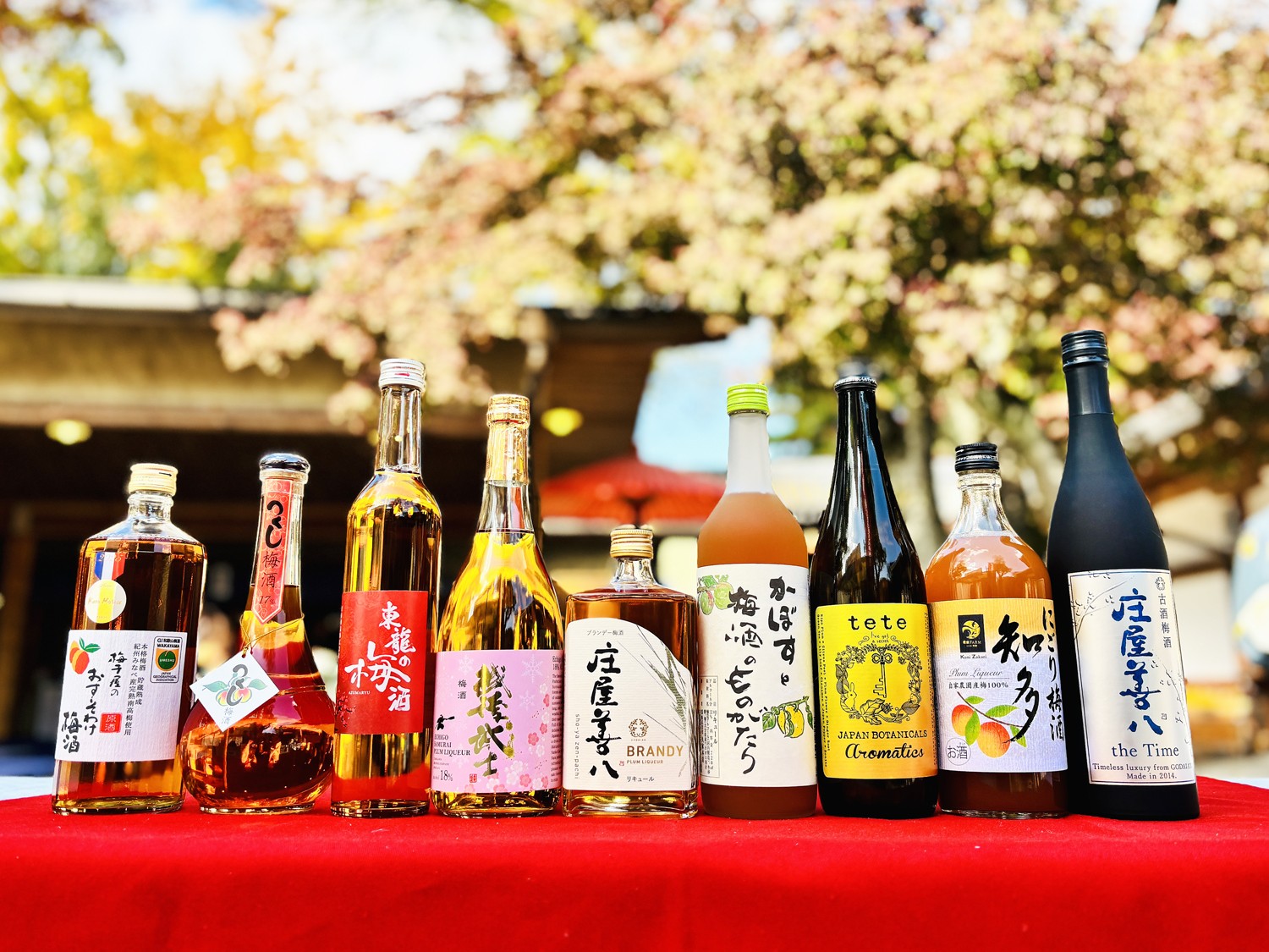 金賞受賞梅酒が水戸に集結 — 数量限定「獺祭梅酒」も登場、3月13日（金）開幕『全国梅酒まつりin水戸2026』