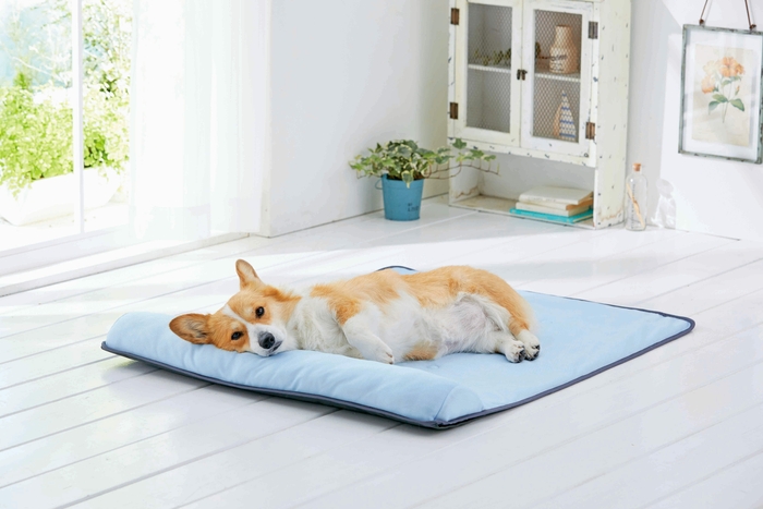 累計12,000個販売!「ソフトクールマット」