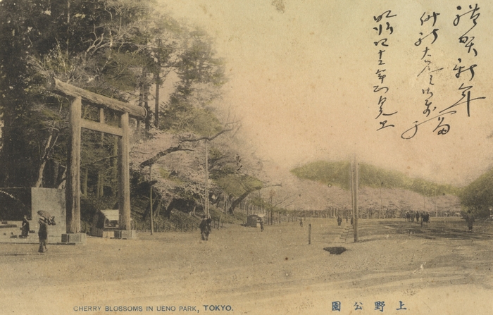 1903年（明治36年）の上野公園（写真提供：(公財)東京都公園協会　みどりの図書館東京グリーンアーカイブス）