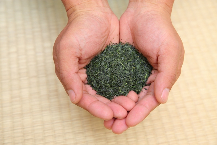 おいしさ続く最高級宇治茶