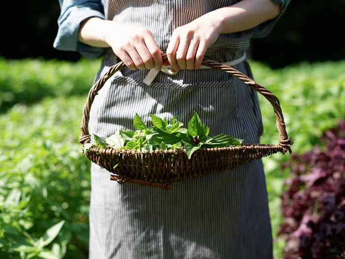 【リゾナーレ那須】アグリガーデン3