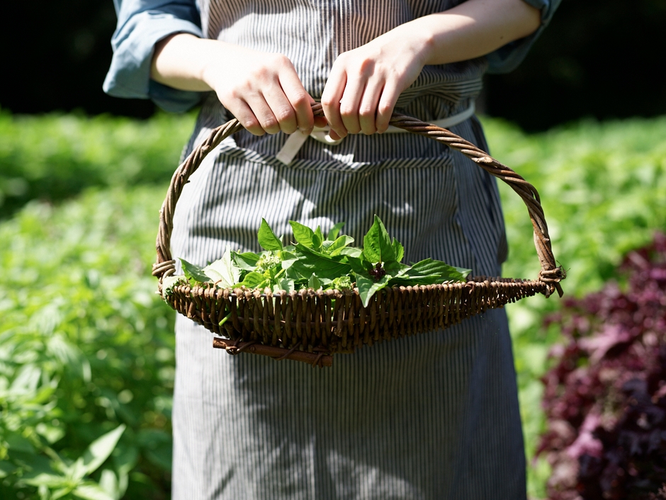 【リゾナーレ那須】アグリガーデン3