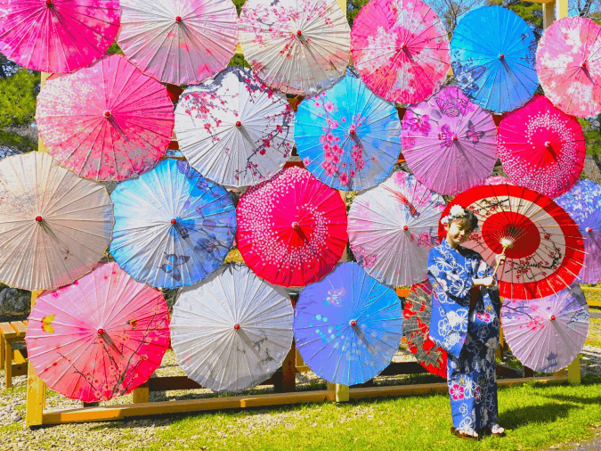 フォトコンテストの応募作品